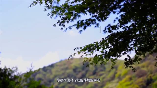 拯救漂亮的女孩